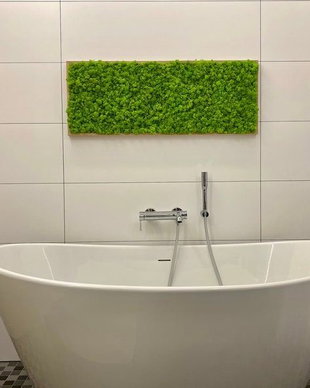 Tablou din licheni naturali si stabilizati