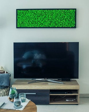 Tablou din licheni naturali si stabilizati