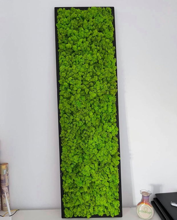 Tablou din licheni naturali si stabilizati