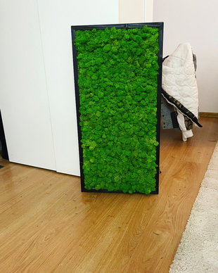 Tablou din licheni naturali si stabilizati
