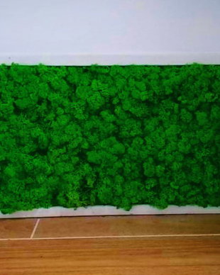 Tablou din licheni naturali si stabilizati