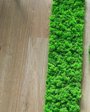 Tablou din licheni naturali si stabilizati
