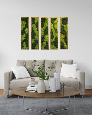 Set 6B Tablou din licheni naturali si stabilizati