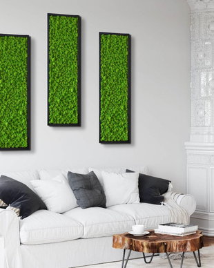 Set 3B Tablou din licheni naturali si stabilizati