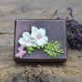 Pure Chocolat-sapun delicios cu ciocolata-BlueScent