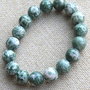 Bratara tree agate (MN13)