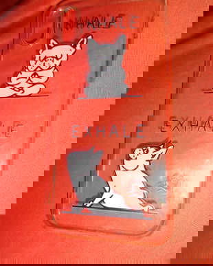 husa amuzanta iphone X/XS