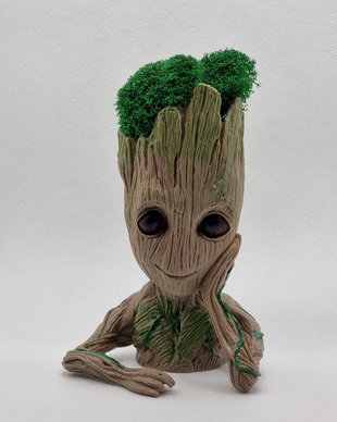 Decoratiune Groot cu licheni