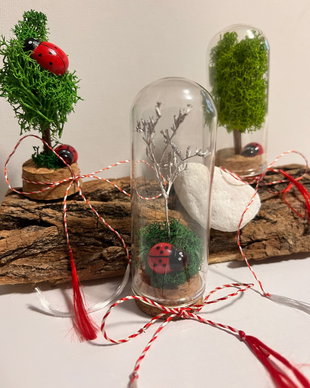 Martisor cu licheni