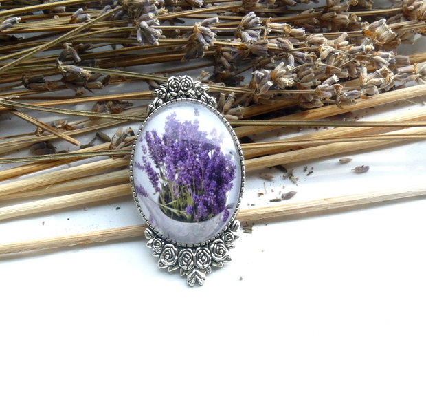 Lavanda