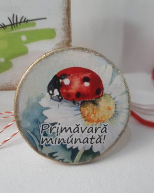 Martisor cu buburuza