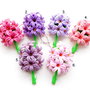 Hyacinthus orientalis(Zambile) - martisoare brose