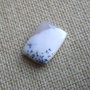 Caboson opal dendritic (MN13)