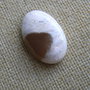 Caboson opal dendritic (MN13)