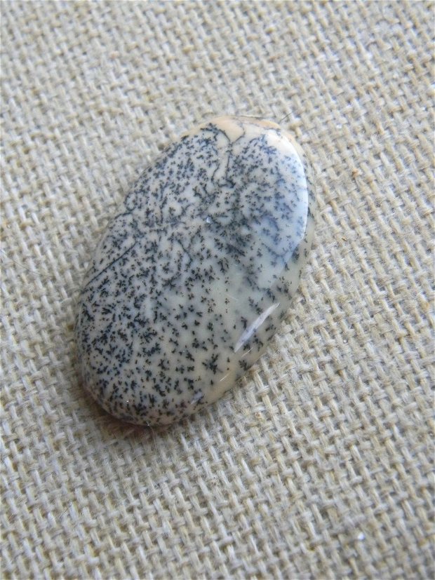 Caboson opal dendritic (MN13)