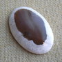 Caboson opal dendritic (MN13)