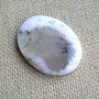 Caboson opal dendritic (MN8)