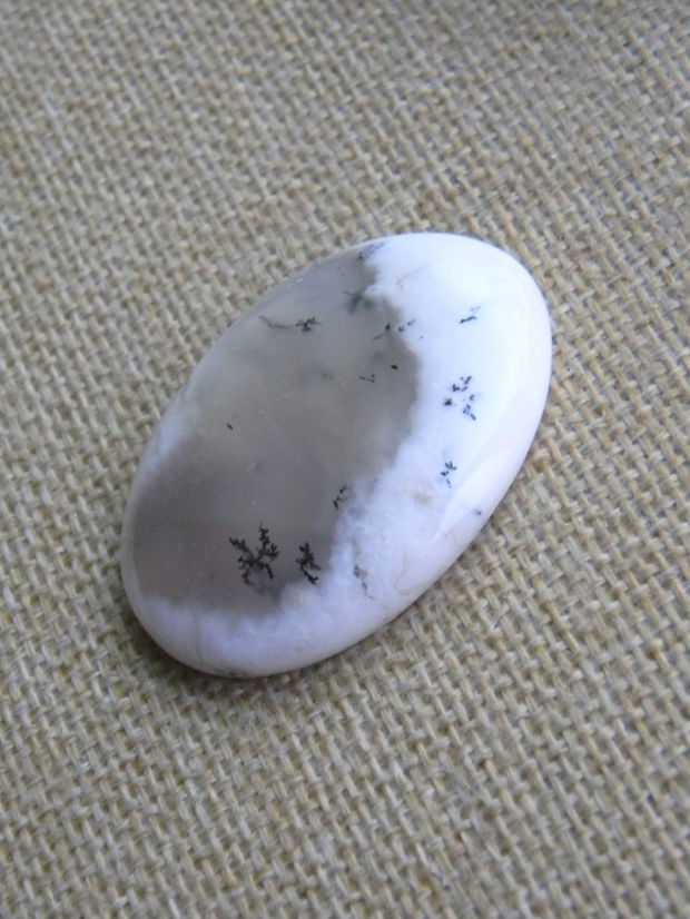 Caboson opal dendritic (MN8)