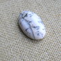Caboson opal dendritic (MN8)