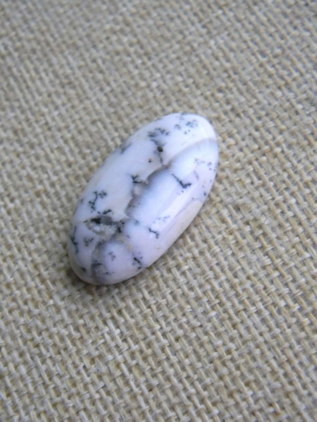 Caboson opal dendritic (MN8)