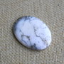 Caboson opal dendritic (MN8)