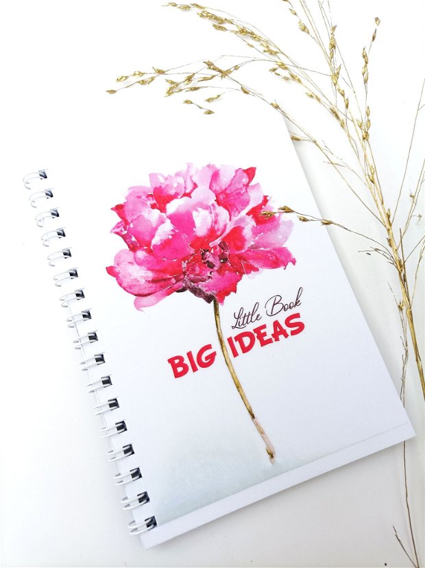 Notebook "Big IDEAS" - Caju Collection