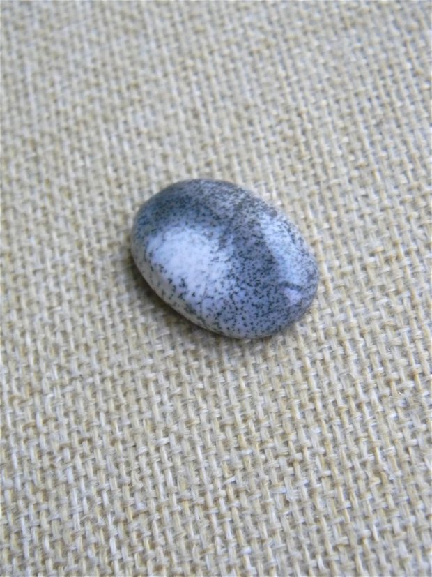 Caboson opal dendritic (MN8)