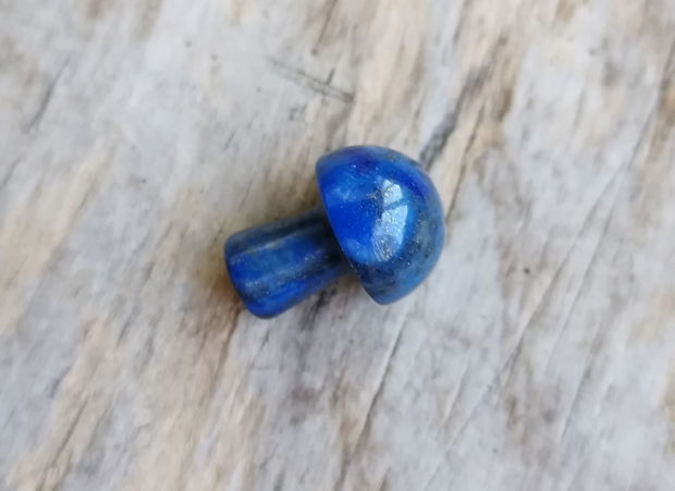 Ciupercuta din lapis lazuli, 20x15 mm