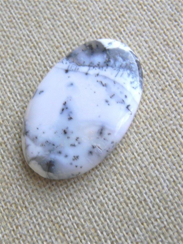 Caboson opal dendritic (MN9)