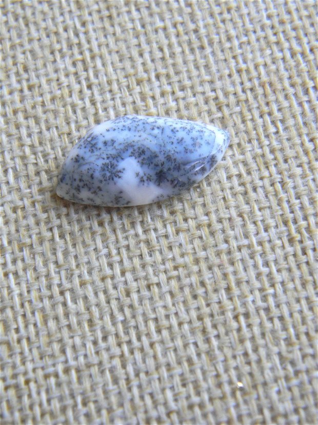 Caboson opal dendritic (MN9)
