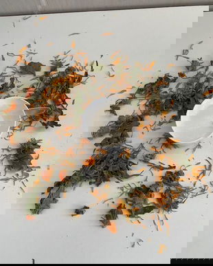 Cold cream ten uscat . sensibil, accneic , descuamat