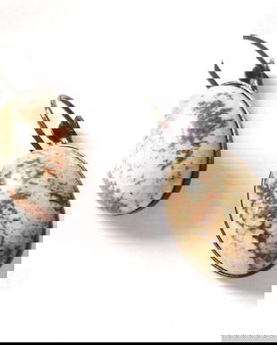 Cercei  jasp picture