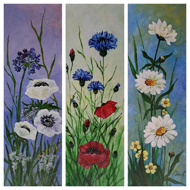 Set 3 tablouri Flori de câmp