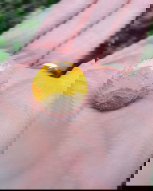 Inel Jasp Bumble Bee si Argint 925 - IN1152 - Inel rotund, inel galben reglabil, inel pietre semipretioase, inel cadou, cadou sotie, cadou iubita, cristale de colectie, cristale vindecatoare, cristaloterapie