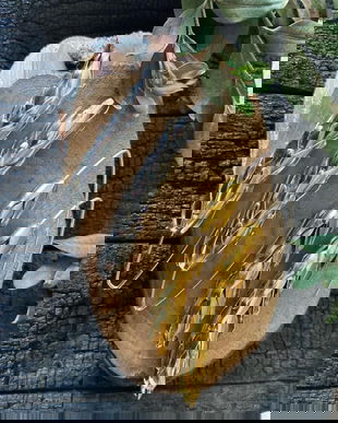 Cercei lungi cu tije din argint 925, spice de grau