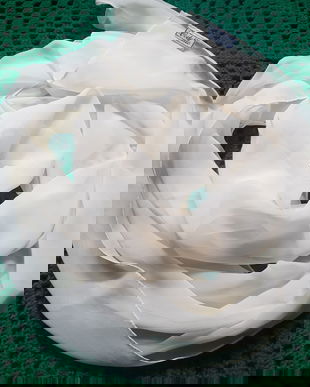 Esarfa silk,dreptunghiulara ,lunga, CODELLO