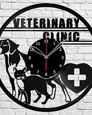 Clinica veterinara-ceas de perete