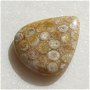 Cabochon coral fosil (lucrat manual in INDIA) aprox 36x30x6 mm