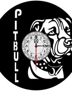 "Pitbull"-ceas de perete