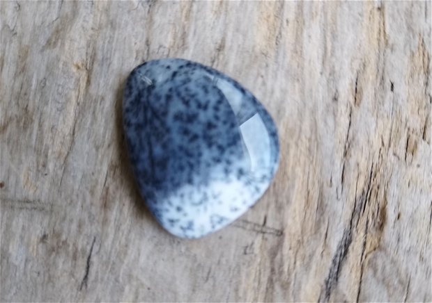 Cabochon opal dendritic, 28x24 mm