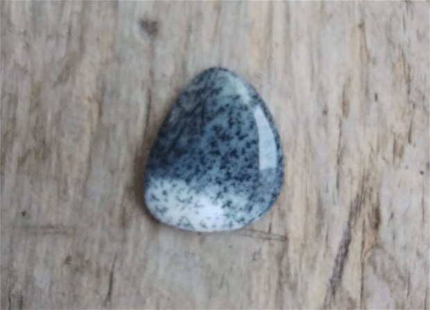Cabochon opal dendritic, 28x24 mm