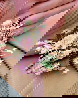 Brățări domnișoare onoare/ Corsaje nuntă-flori naturale uscate și criogenate , Roz pastel