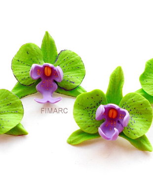 Green Orchidee - cercei atarnatori