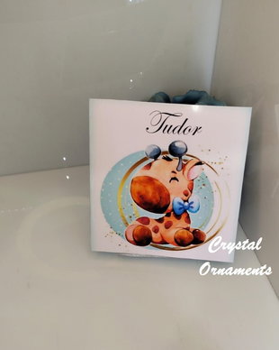 Invitatie botez baby girafa