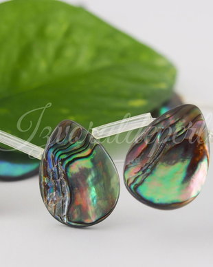 Paua shell 20x15mm (1)