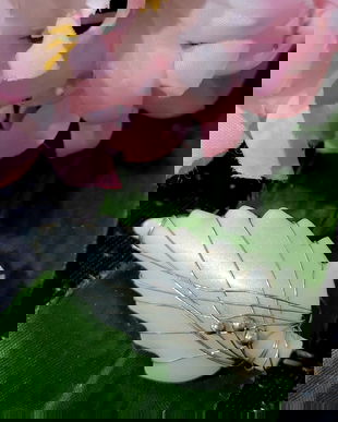 Diverse broșe retro cod 6