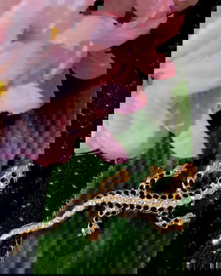 Diverse broșe vintage /retro cod 14 reducere