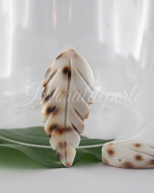 Pandantiv sidef 45-60x18-22mm