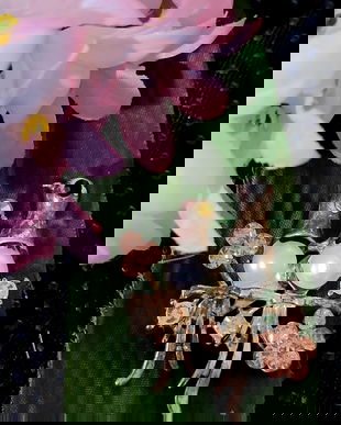 Diverse modele broșe cod 16 / reducere