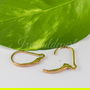 Tortite, gold filled 14k (1per)